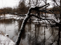 /album/foto-mesice-ii-2013/02-03-jpg/